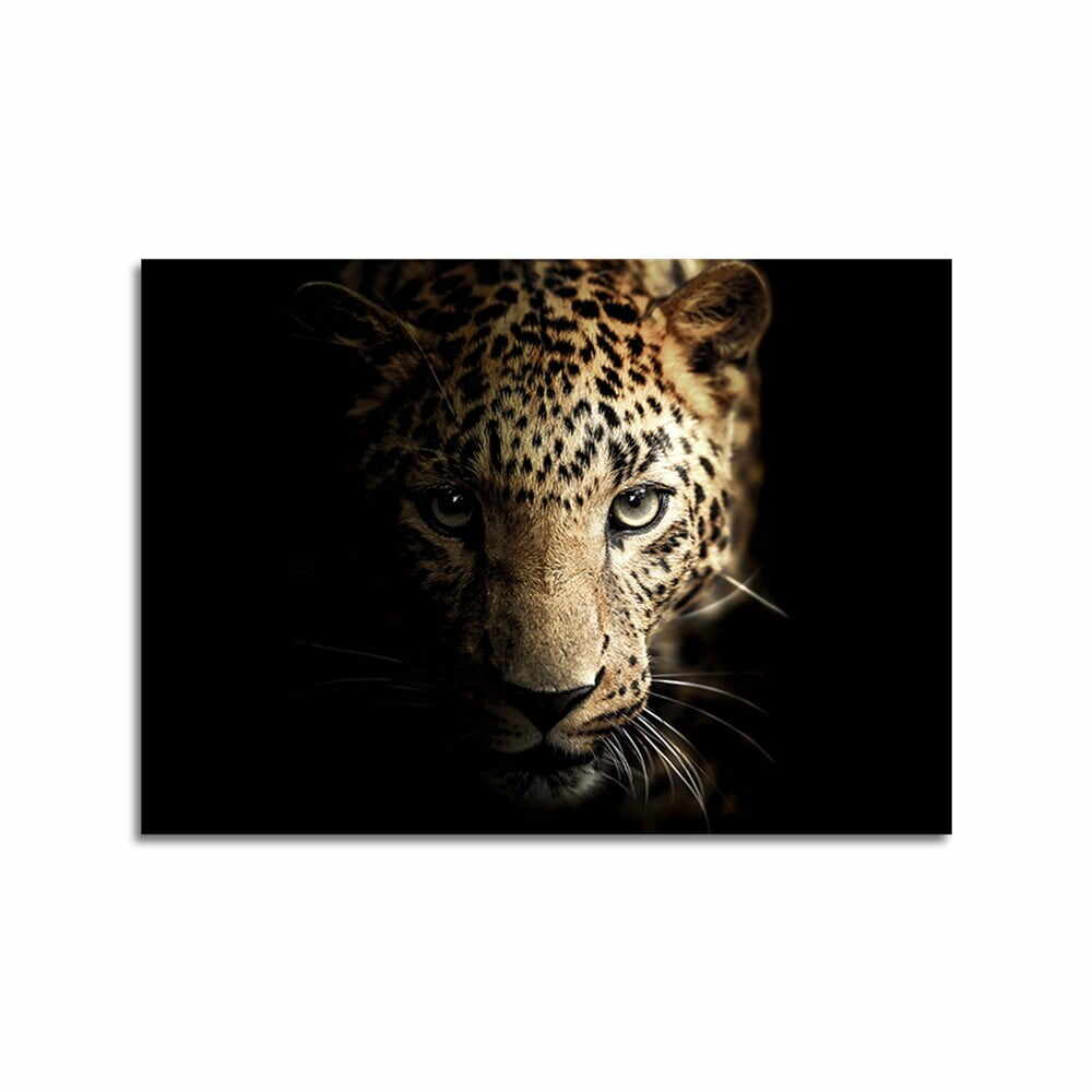 Tablou din sticlă Styler Glas Animals Leopard, 70 x 100 cm