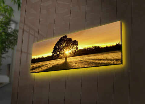 Tablou decorativ cu lumina LED, 3090DACT-68, Canvas, 30 x 90 cm, Multicolor