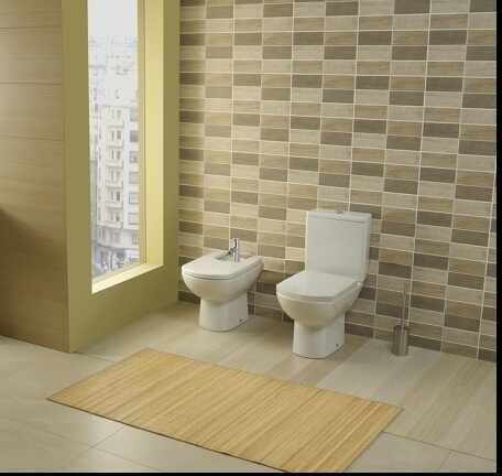 Vas wc pe pardoseala Gala Smart monobloc