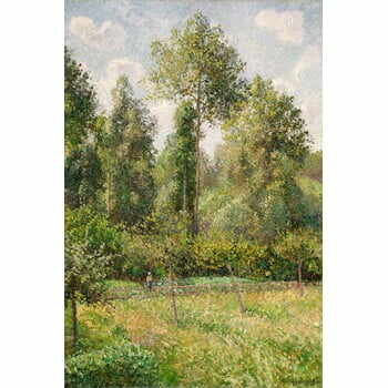 Reproducere tablou Camille Pissarro - Poplars Éragny, 60 x 80 cm