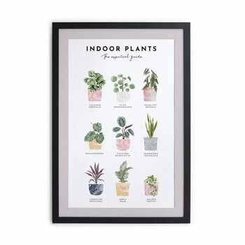 Tablou de perete cu ramă Really Nice Things Indoor Plants, 30 x 40 cm