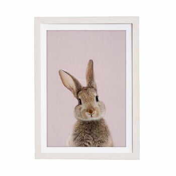 Taboul cu ramă Querido Bestiario Baby Rabbit, 30 x 40 cm