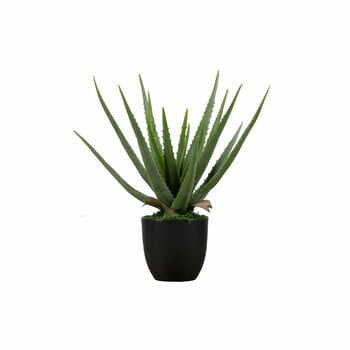 Aloe vera artificială WOOOD, înălțime 46 cm
