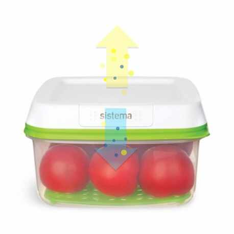 Cutie depozitare alimente Sistema FreshWorks 2.6 L