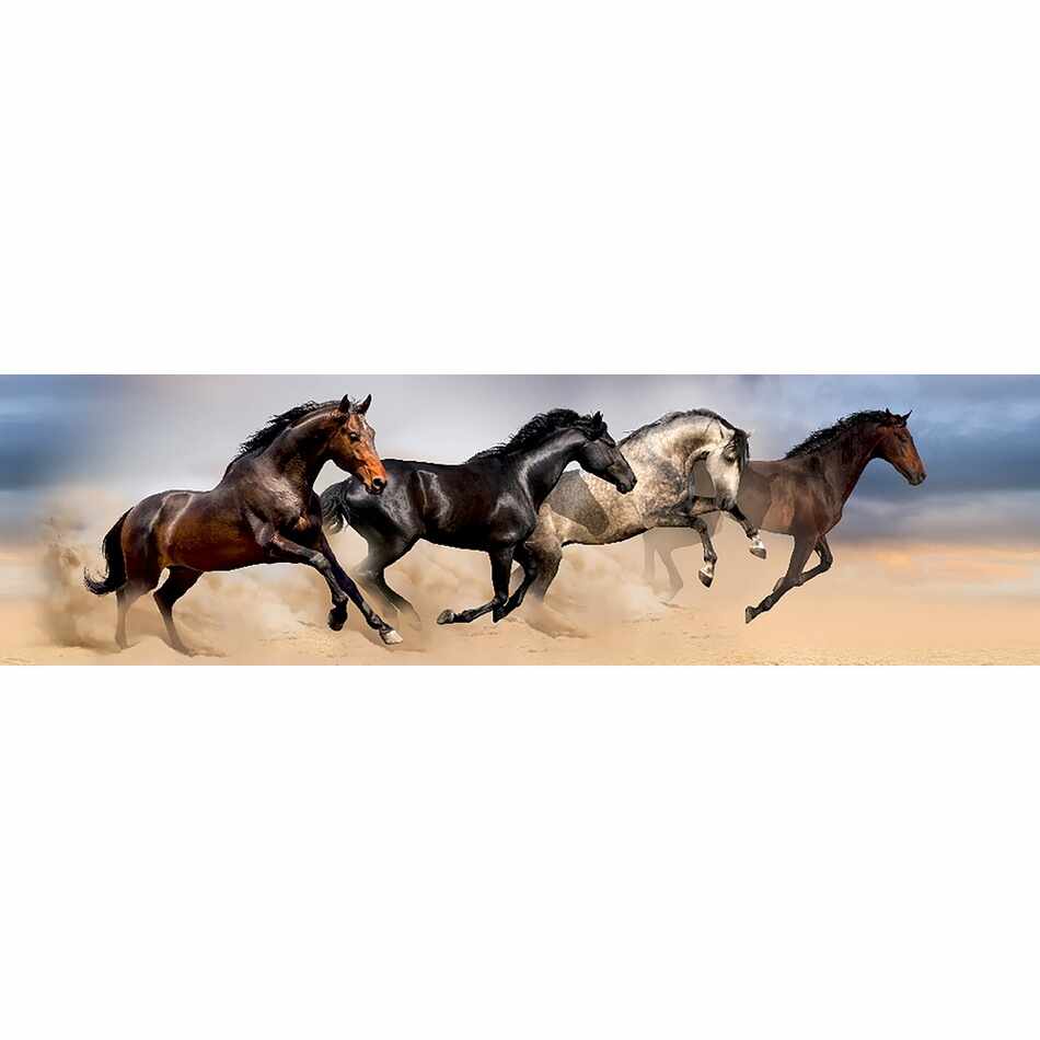Poster autocolant Wild Horses, 500 x 14 cm