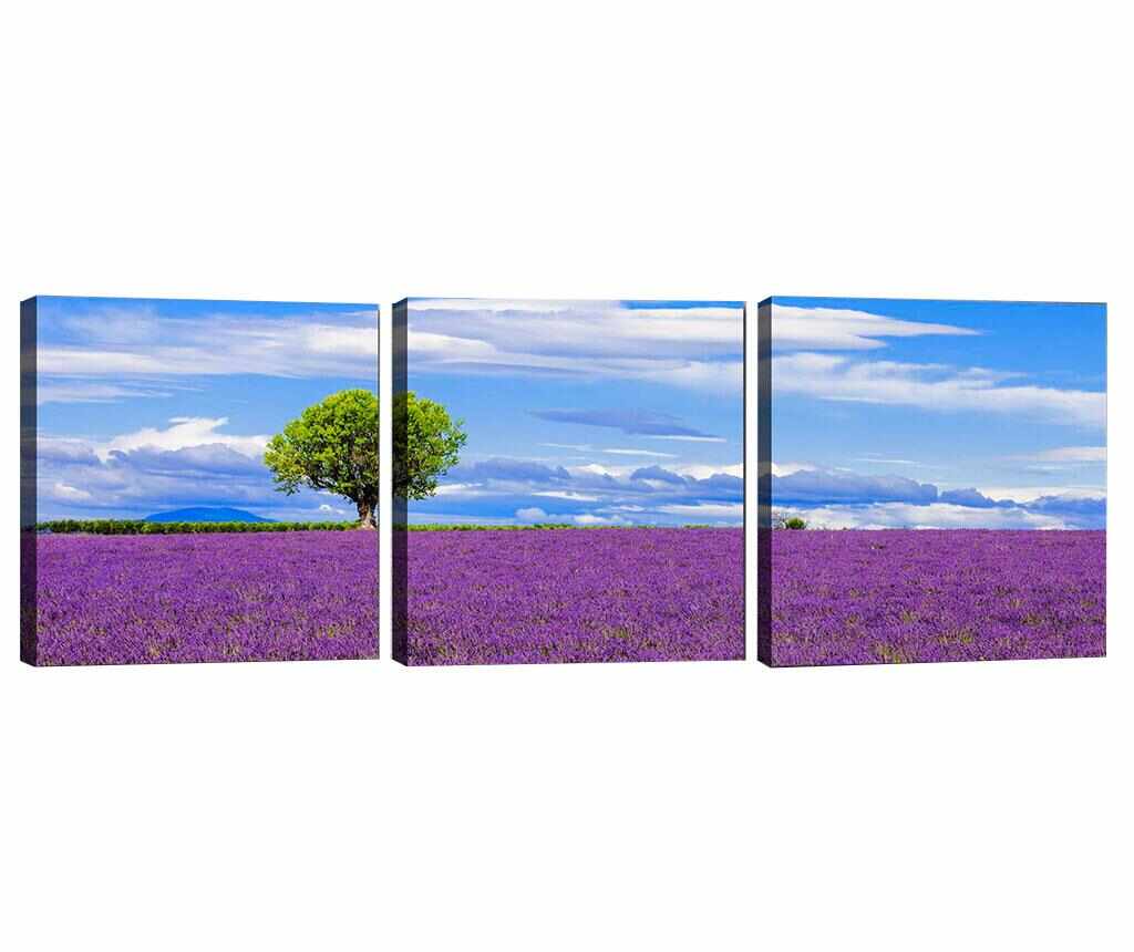 Set 3 tablouri Lavender Field 30x30 cm - Tablo Center, Albastru,Mov