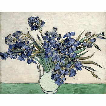 Reproducere tablou Vincent van Gogh - Irises 2, 40 x 26 cm