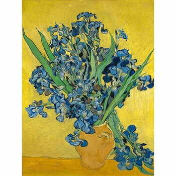 Reproducere tablou Vincent van Gogh - Irises, 60 x 45 cm