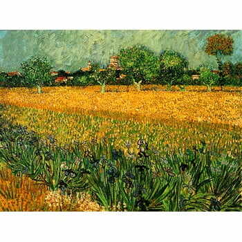 Reproducere tablou Vincent van Gogh - View of arles with irises in the foreground, 40 x 30 cm
