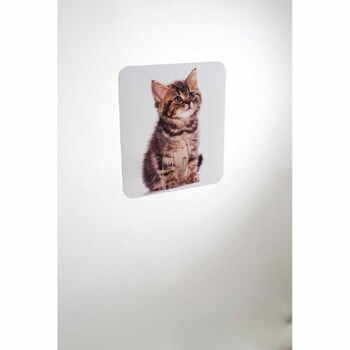 Cârlig de perete Compactor Magic Cat