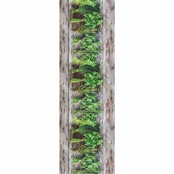 Covor foarte rezistent Floorita Aromatica, 58 x 190 cm