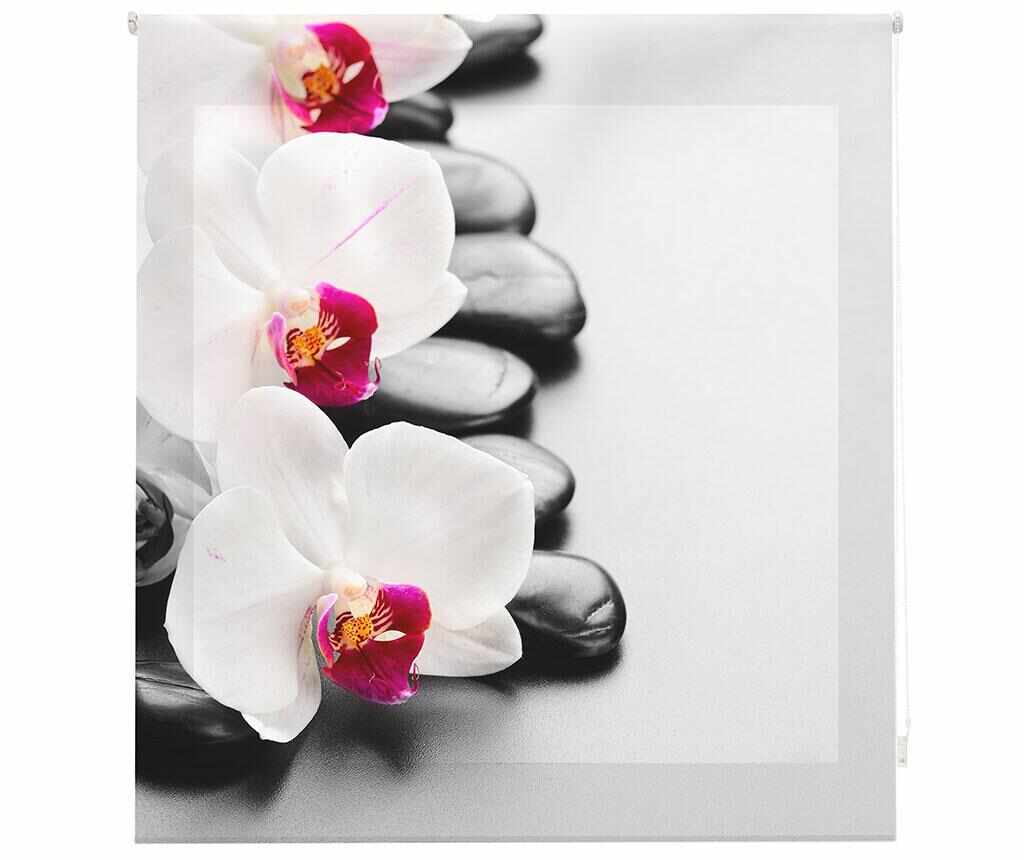 Jaluzea tip rulou Orchid 160x180 cm - Blindecor, Alb