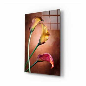 Tablou din sticlă Insigne Tulips, 46 x 72 cm