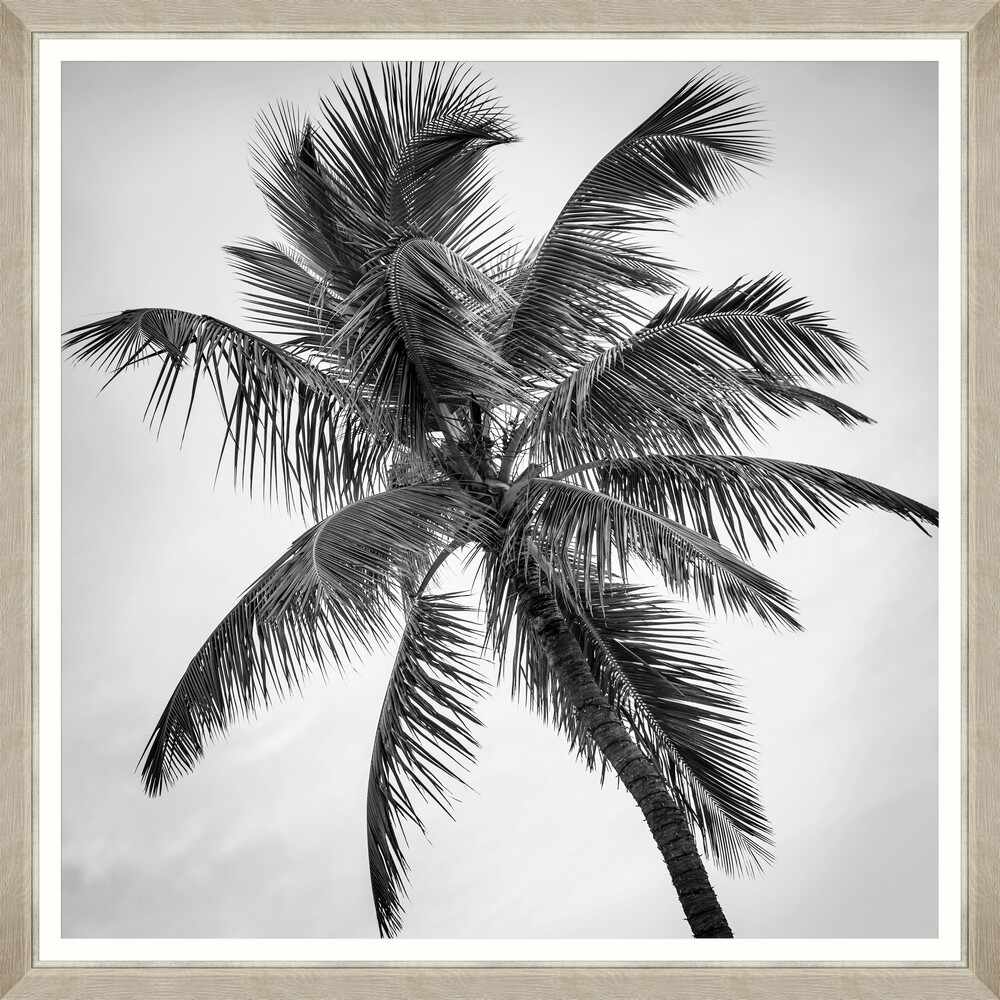 Tablou Framed Art Palm Splendor I 