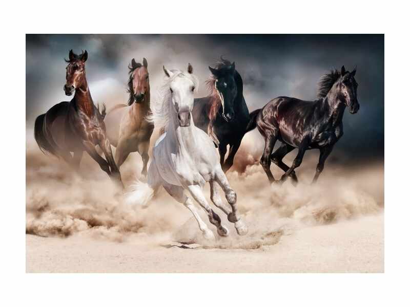 Tablou Sticla Horses, 120 x 80 cm