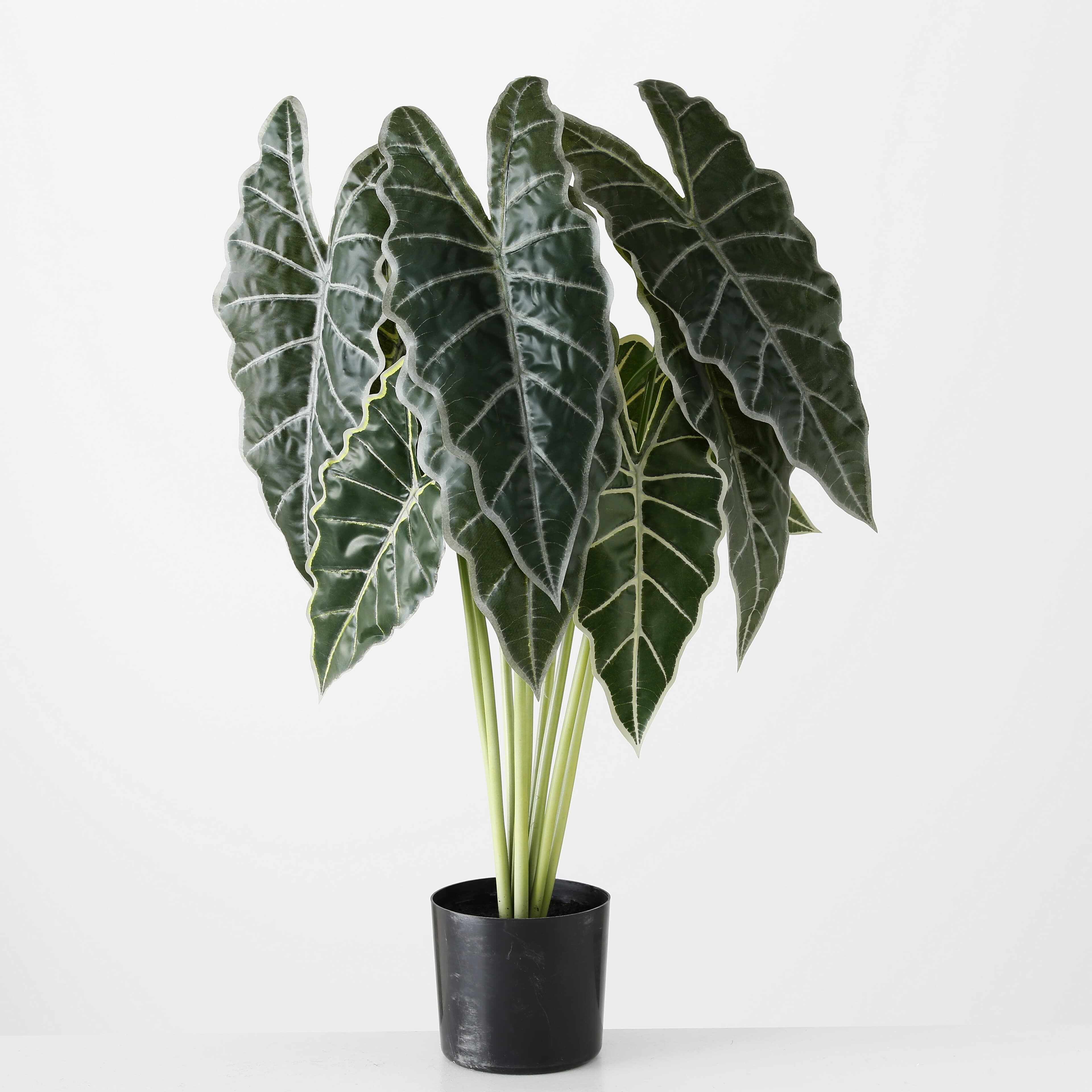 Planta artificiala in ghiveci Arrow Leaf Verde / Negru, H71 cm