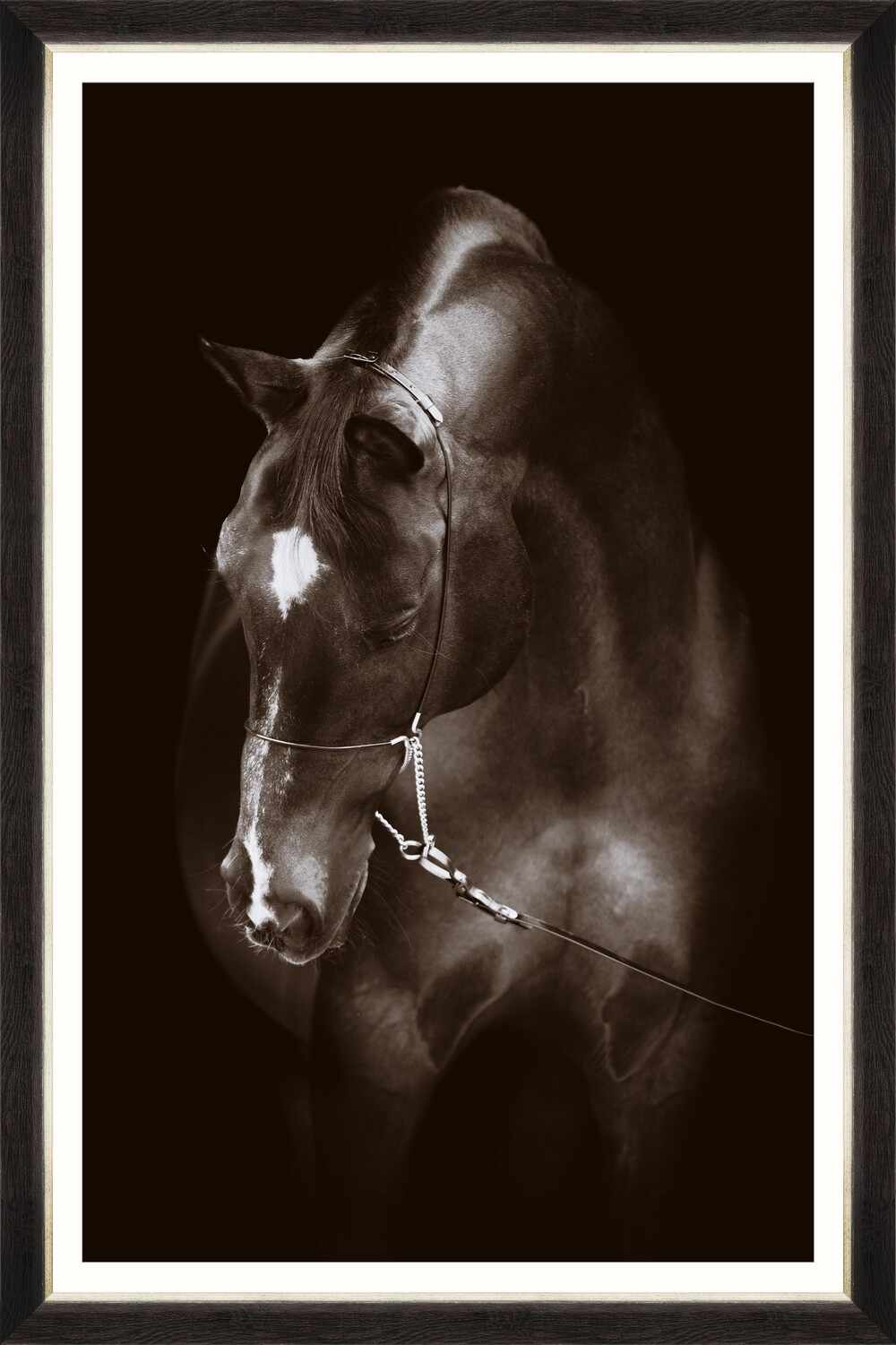  Tablou Framed Art Horse Resting la pret 596 lei 