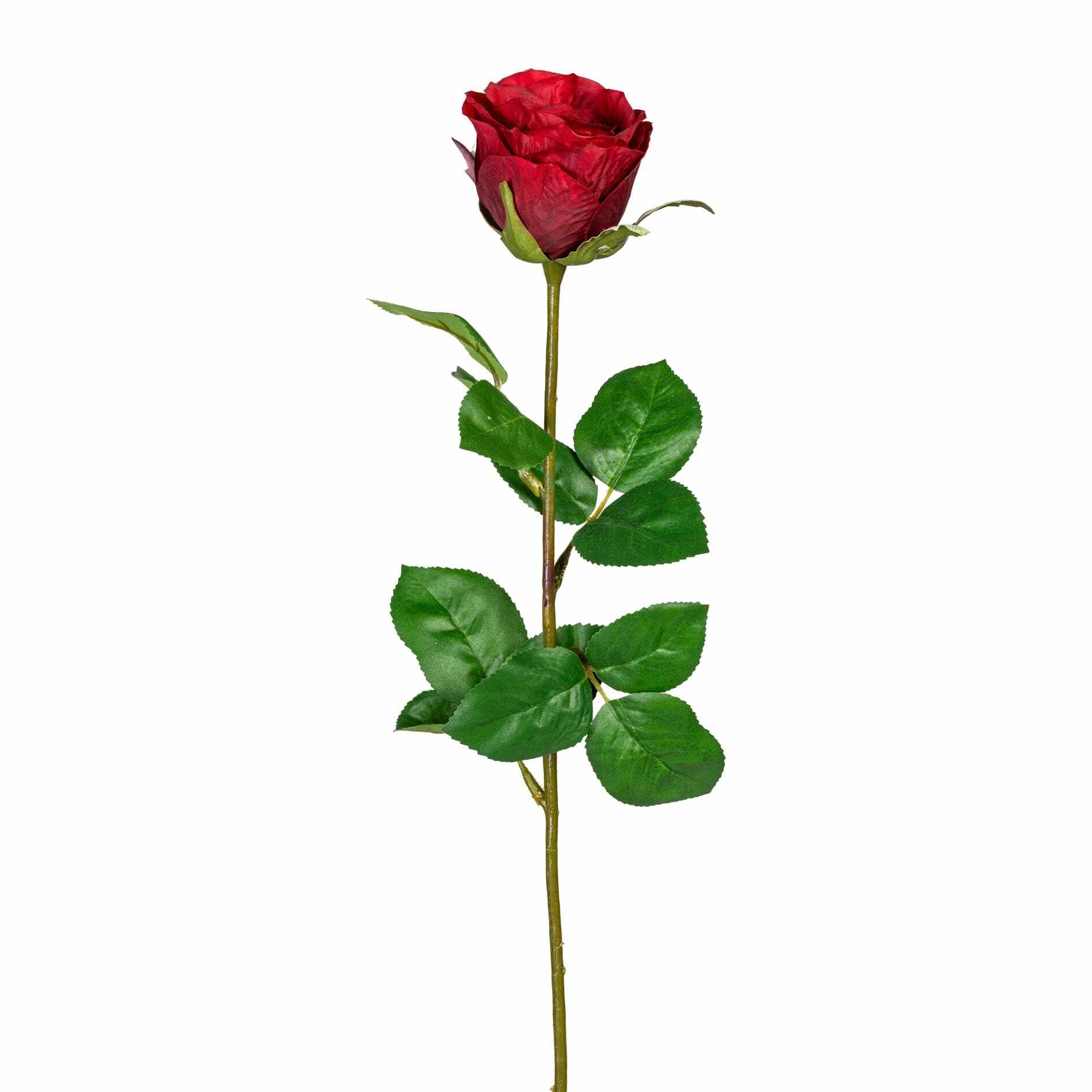 Fir floare artificiala, Garden Rose Rosu, H69 cm