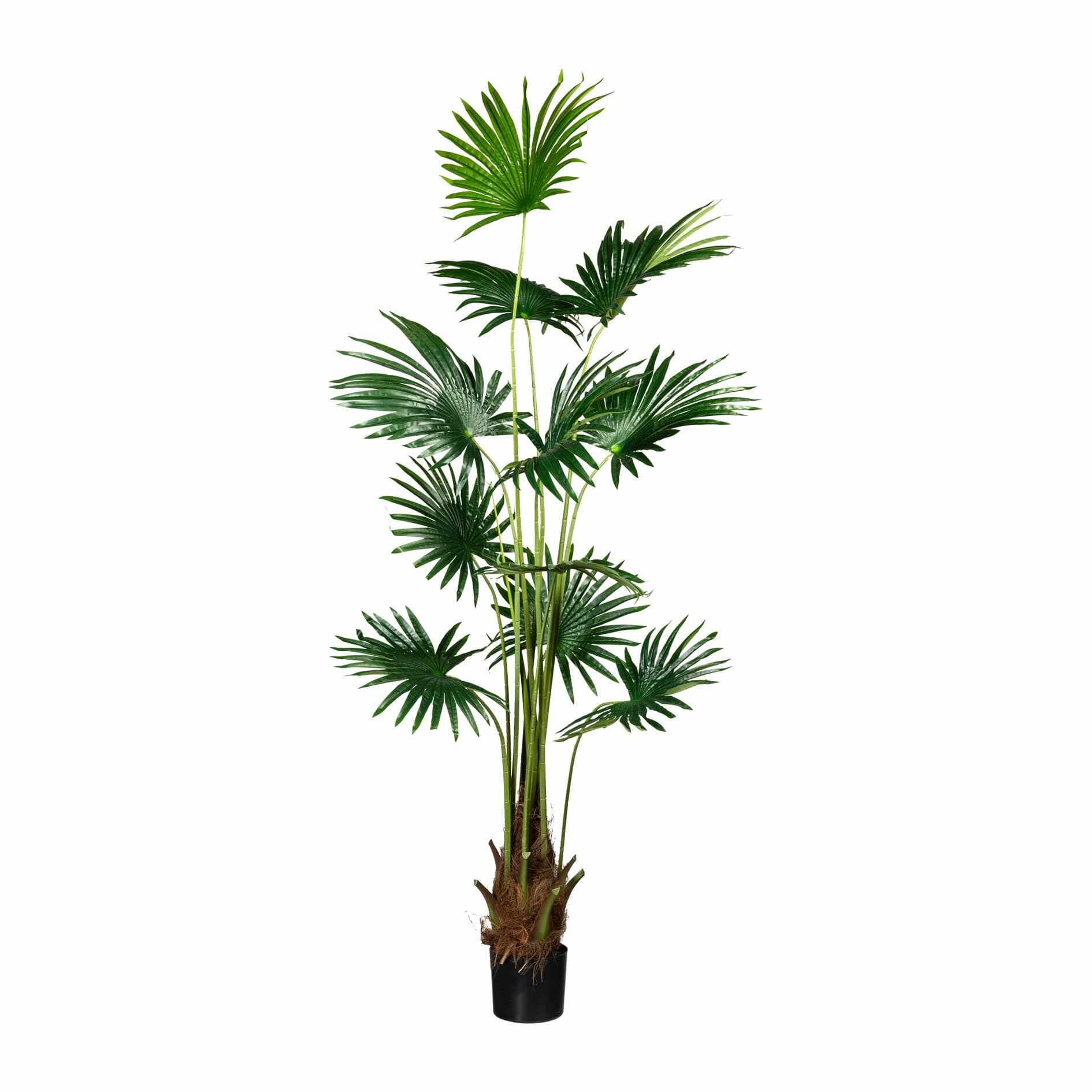 Planta artificiala in ghiveci, Fan Palm Verde, H180 cm