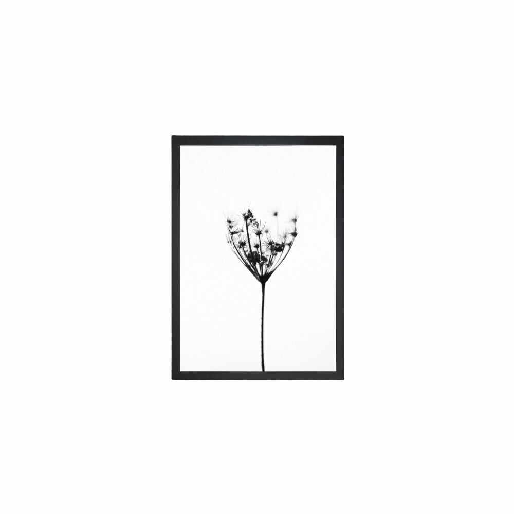 Tablou Tablo Center Misty Splender, 24 x 29 cm