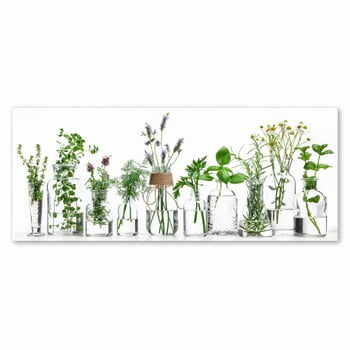 Tablou Styler Glasspik Herbs, 30 x 80 cm