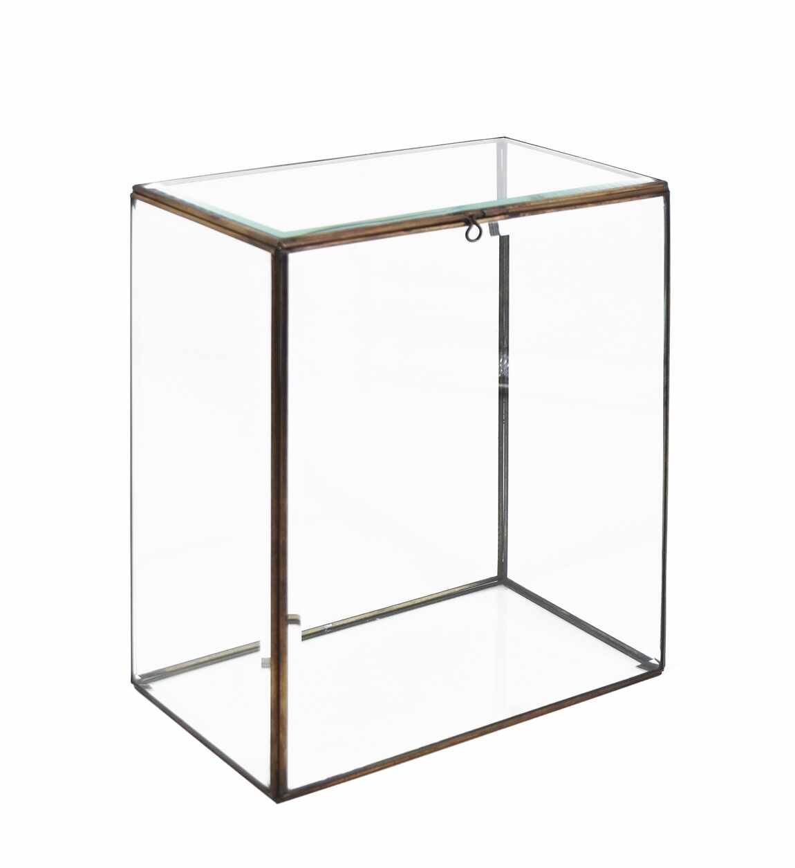 Cutie pentru depozitare din sticla si metal Big Bezel Box Transparent / Alama, L25xl15xH37 cm