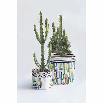 Set 2 ghivece Surdic Watercolor Cactus