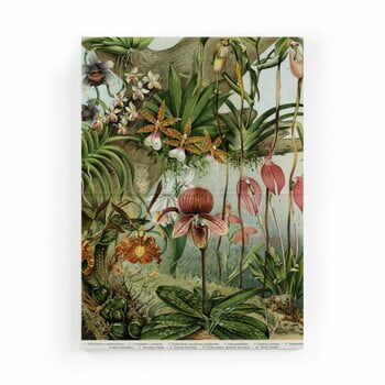 Tablou Surdic Jungle Flowers, 50 x 70 cm