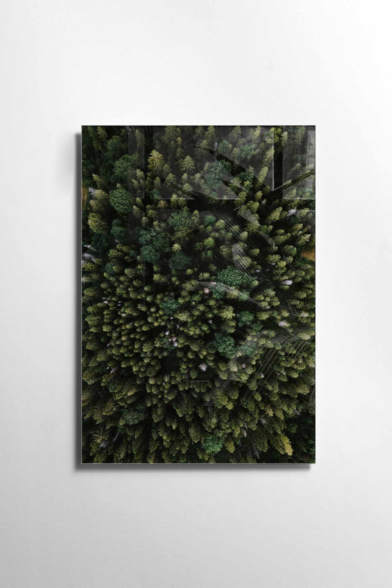 Tablou Sticla Dolan 1163 Verde, 30 x 45 cm