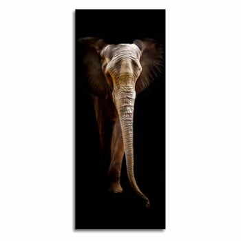 Tablou din sticlă Styler Elephant, 125 x 50 cm