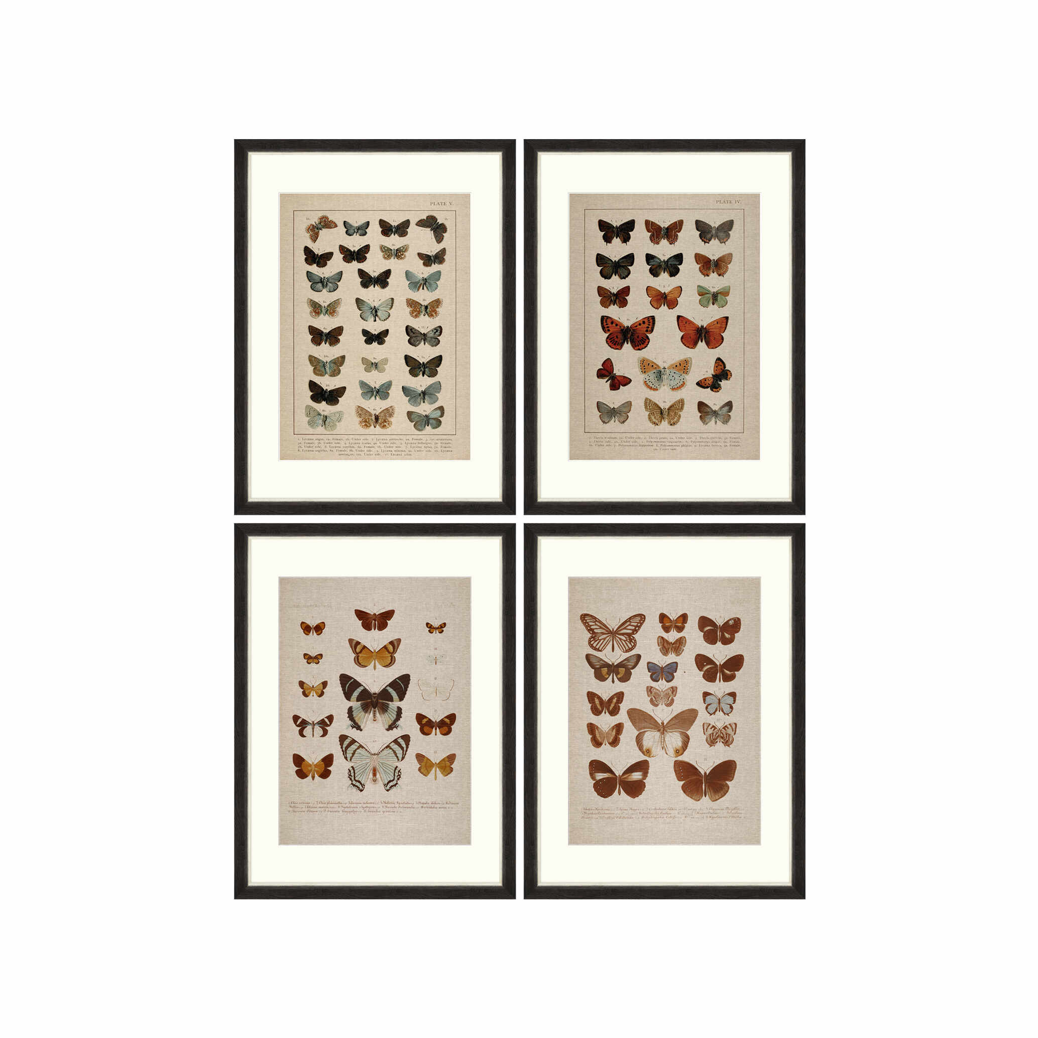 Tablou 4 piese Framed Linen Butterflies Plate I & IV