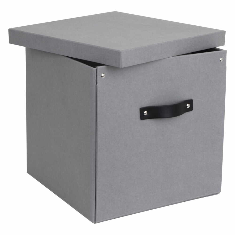 Cutie de depozitare Bigso Box of Sweden Logan, gri deschis